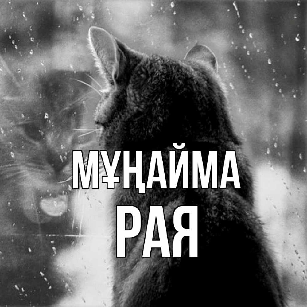 Күн сайын ашық хат с именем, Рая Мұңайма отражение кота 1 Онлайн тегін жүктеп алу тілектері бар керемет карта 