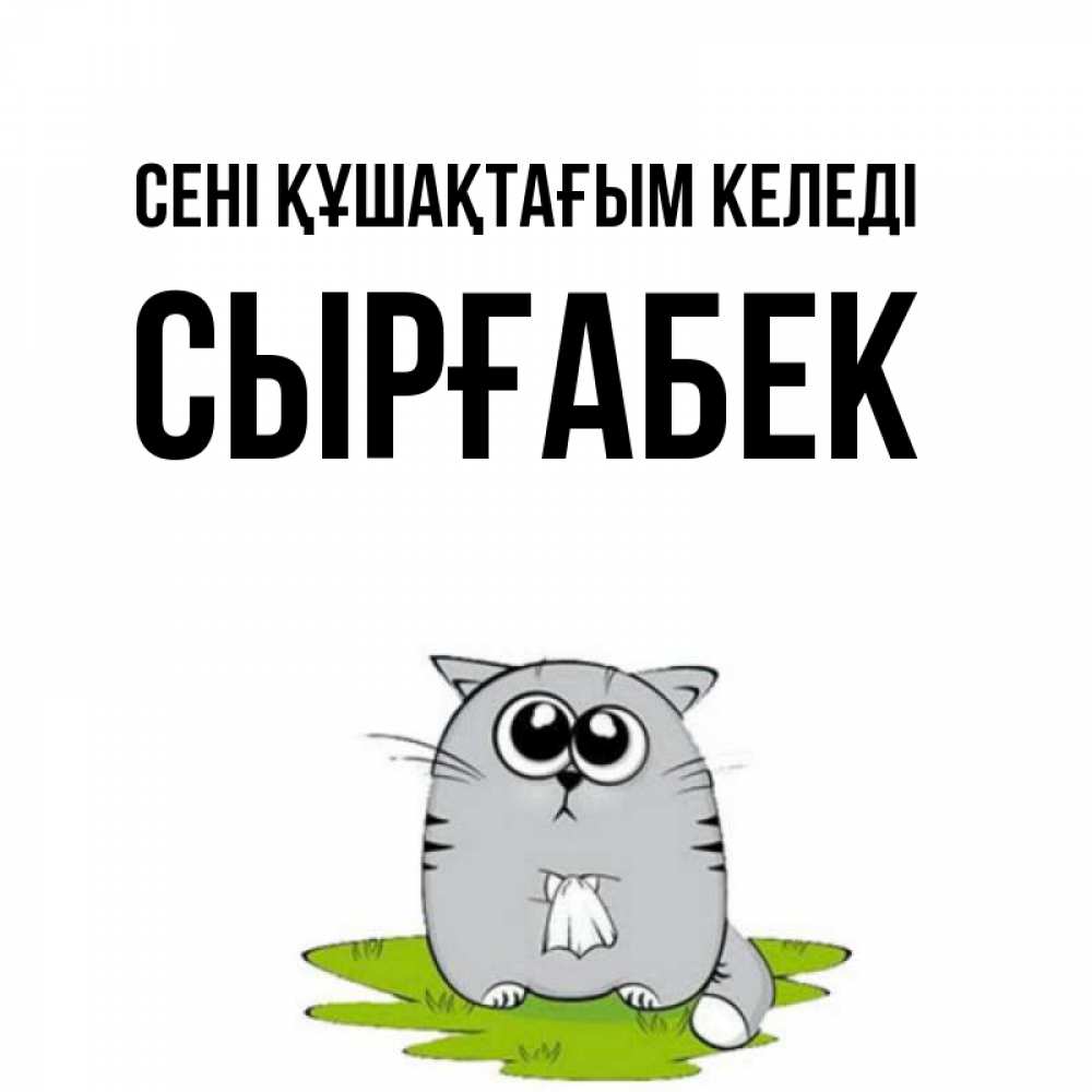 Күн сайын ашық хат с именем, СЫРҒАБЕК сені құшақтағым келеді котик теребит платочек сидя на травке Онлайн тегін жүктеп алу тілектері бар керемет карта 
