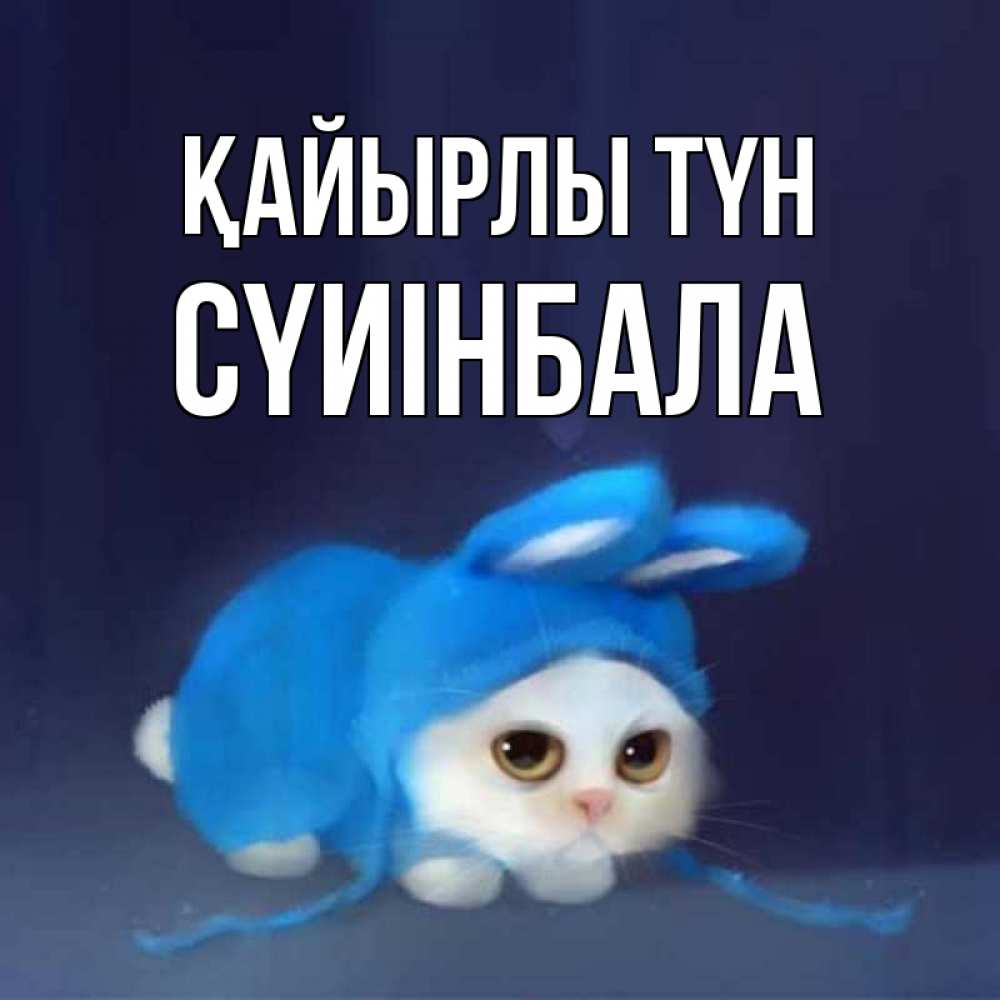 Күн сайын ашық хат с именем, СҮИІНБАЛА Қайырлы түн кот в голубом костюме кролика с ушками Онлайн тегін жүктеп алу тілектері бар керемет карта 
