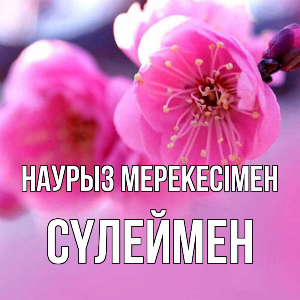 Күн сайын ашық хат с именем, СҮЛЕЙМЕН Наурыз мерекесімен международный женский день Онлайн тегін жүктеп алу тілектері бар керемет карта 