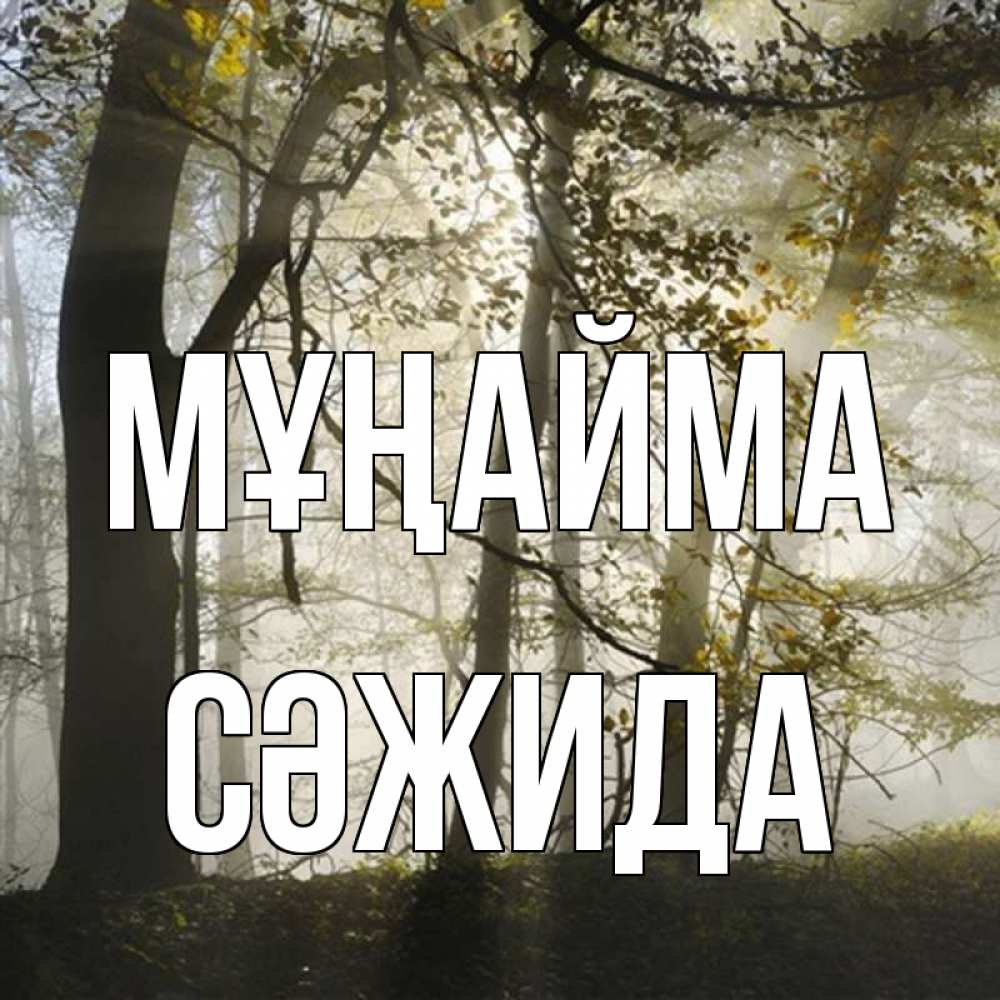 Күн сайын ашық хат с именем, СӘЖИДА Мұңайма лес и свет Онлайн тегін жүктеп алу тілектері бар керемет карта 