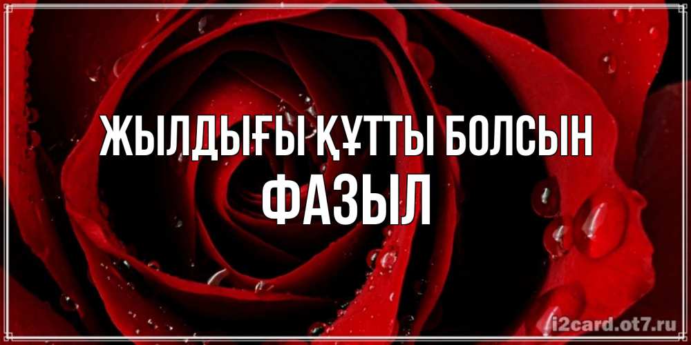 Күн сайын ашық хат с именем, ФАЗЫЛ Жылдығы құтты болсын крупная бордовая роза Онлайн тегін жүктеп алу тілектері бар керемет карта 