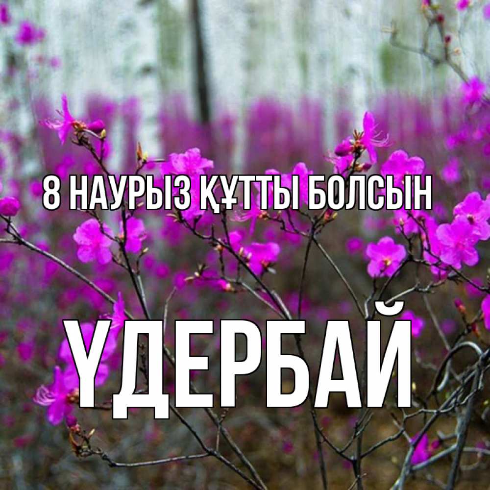 Күн сайын ашық хат с именем, ҮДЕРБАЙ 8 наурыз құтты болсын дикие цветы Онлайн тегін жүктеп алу тілектері бар керемет карта 