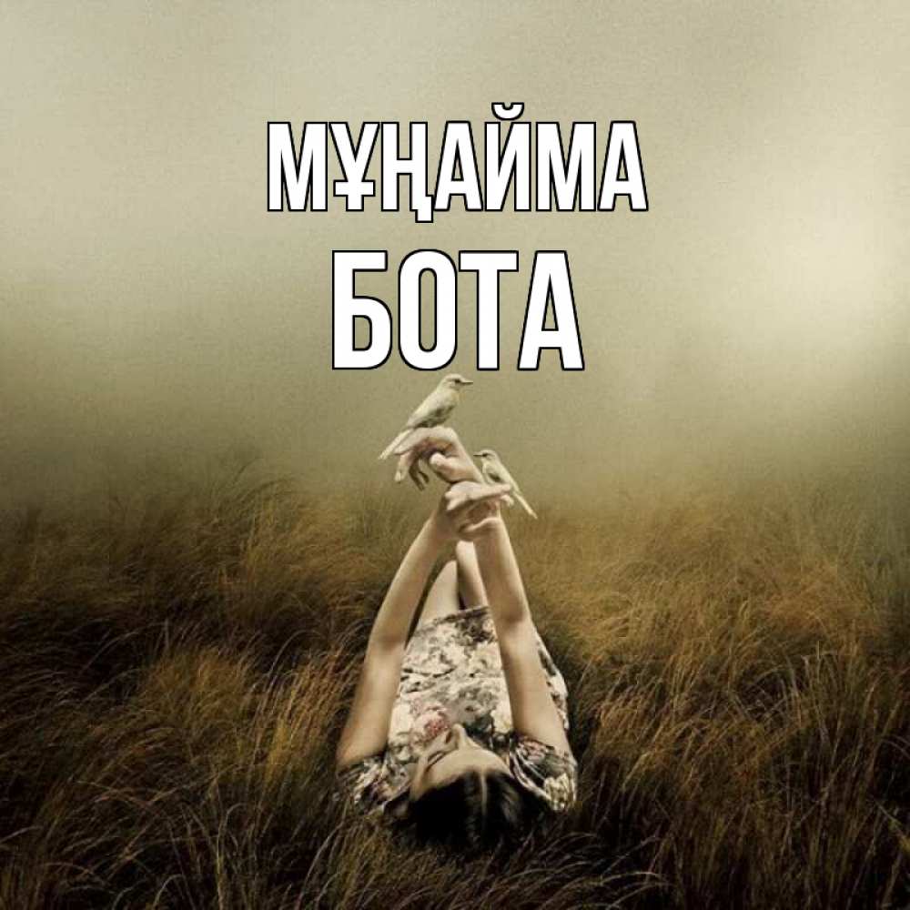 Күн сайын ашық хат с именем, БОТА Мұңайма поле и туман Онлайн тегін жүктеп алу тілектері бар керемет карта 