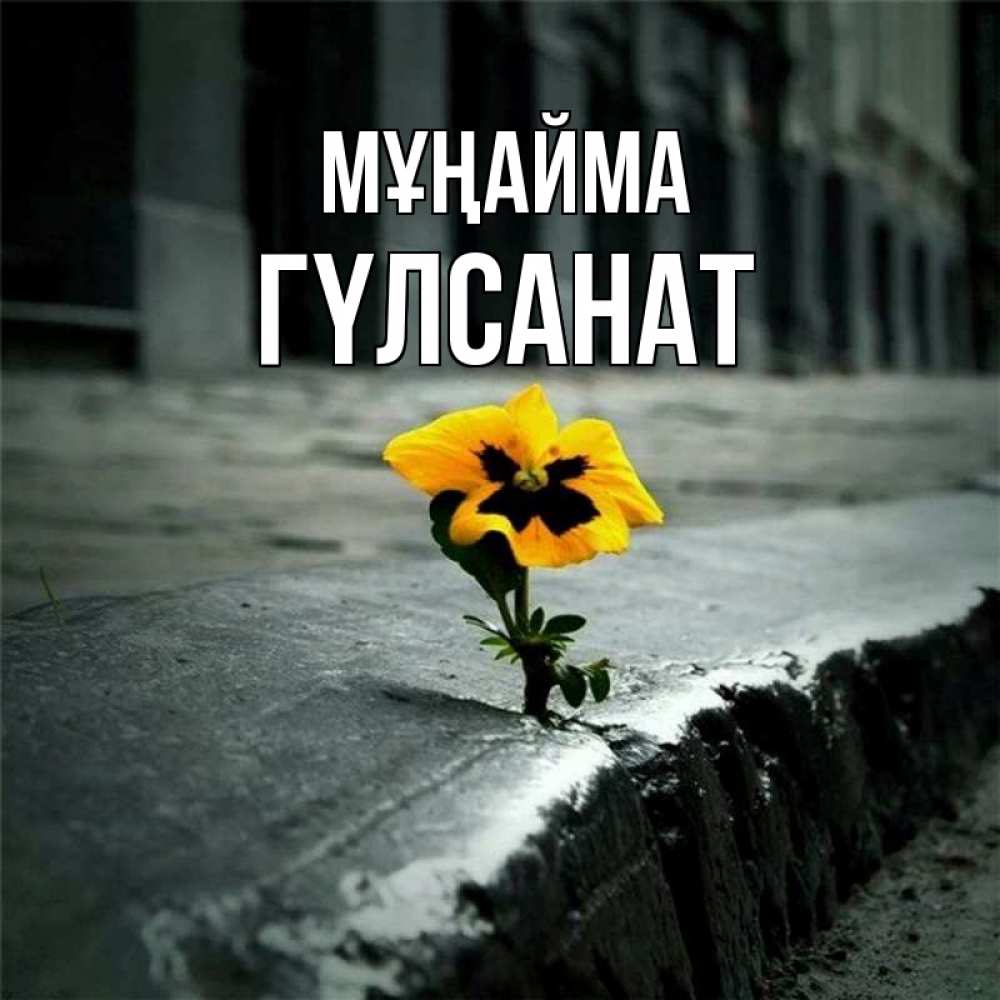 Күн сайын ашық хат с именем, ГҮЛСАНАТ Мұңайма не сдавайся Онлайн тегін жүктеп алу тілектері бар керемет карта 