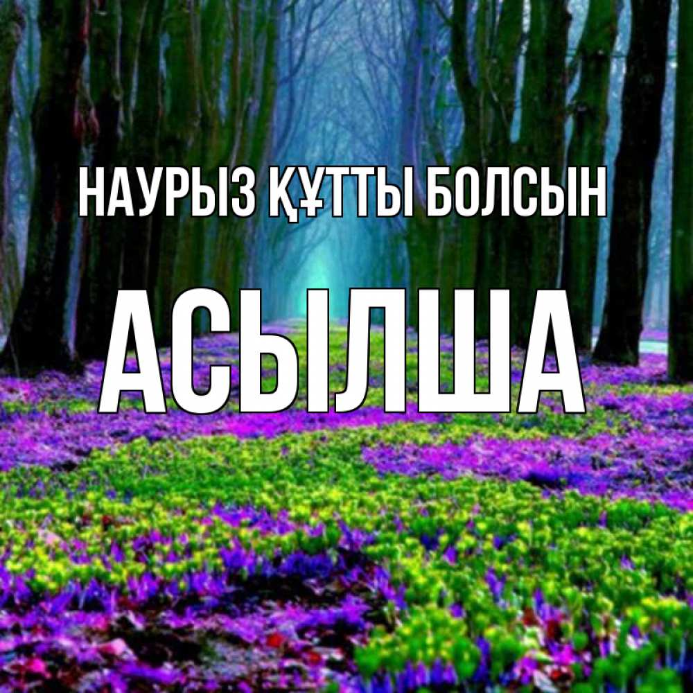 Күн сайын ашық хат с именем, АСЫЛША Наурыз құтты болсын фиолетовые цветы в лесу 1 Онлайн тегін жүктеп алу тілектері бар керемет карта 
