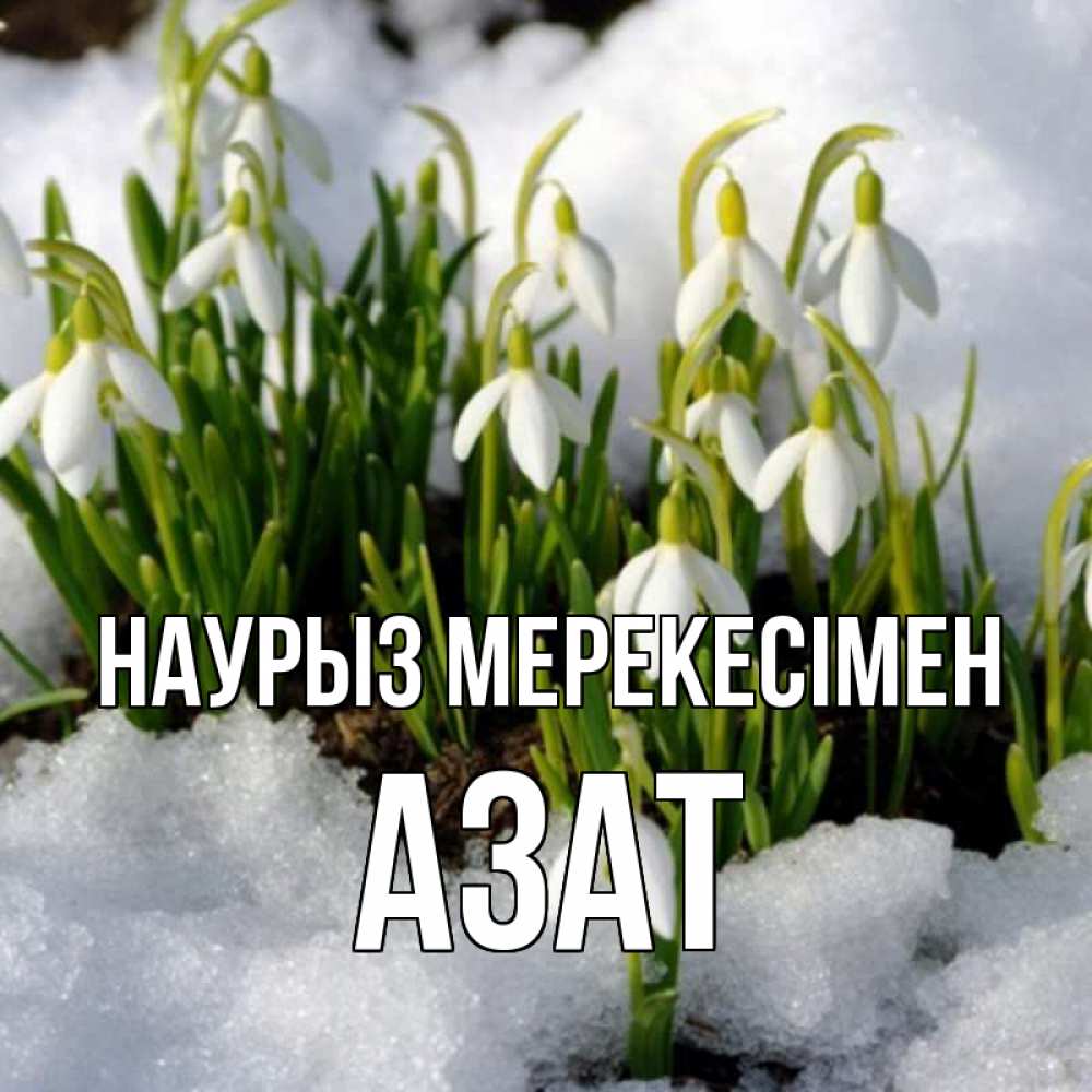 Күн сайын ашық хат с именем, Азат Наурыз мерекесімен цветы весенние Онлайн тегін жүктеп алу тілектері бар керемет карта 