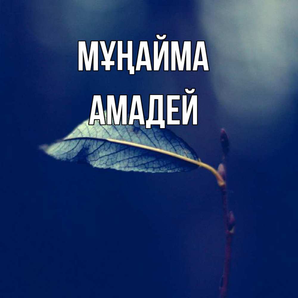 Күн сайын ашық хат с именем, Амадей Мұңайма растение Онлайн тегін жүктеп алу тілектері бар керемет карта 