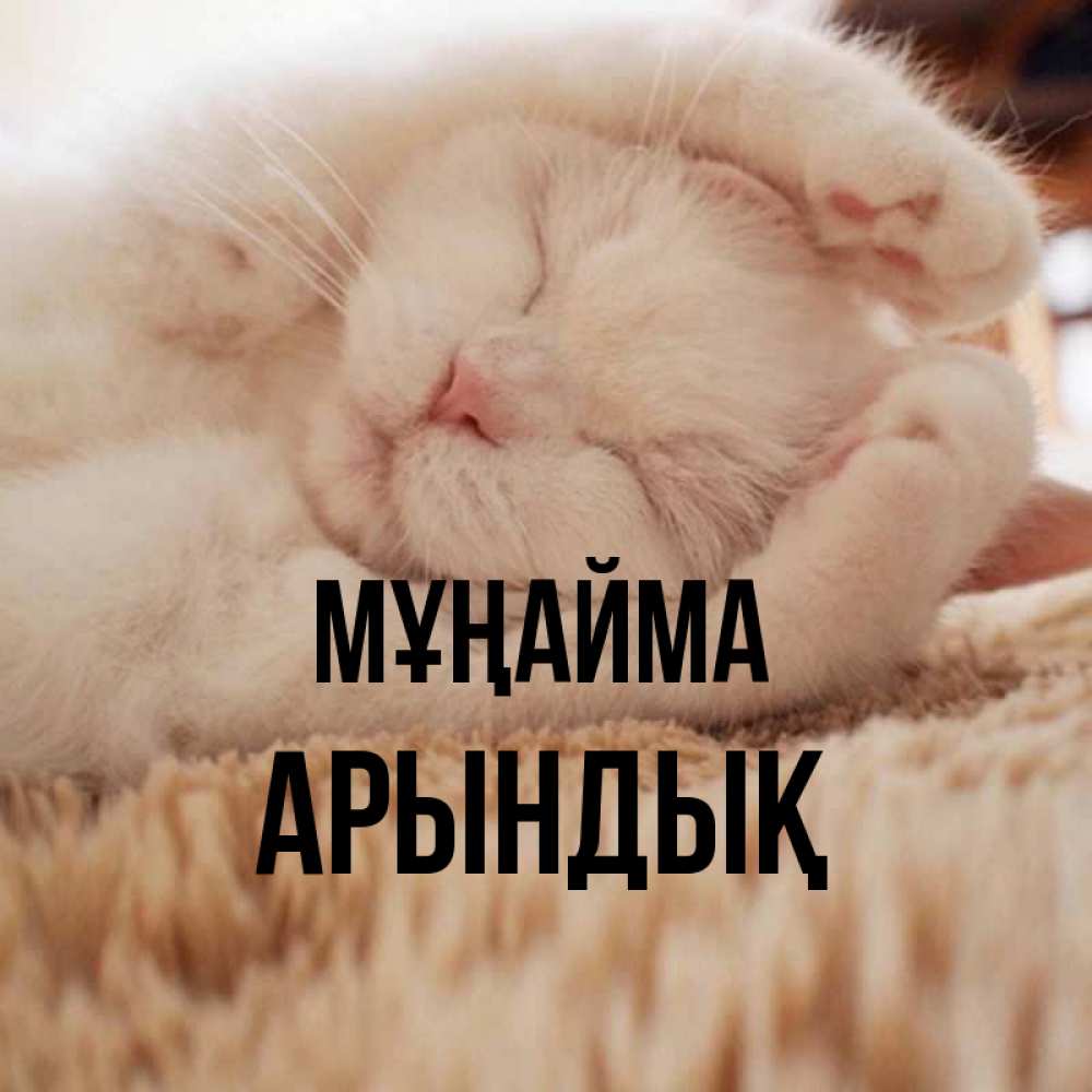 Күн сайын ашық хат с именем, Арындық Мұңайма Котенок спит Онлайн тегін жүктеп алу тілектері бар керемет карта 