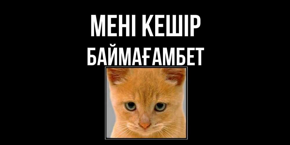 Күн сайын ашық хат с именем, Баймағамбет Мені кешір рыжий грустный кот просит прощения Онлайн тегін жүктеп алу тілектері бар керемет карта 