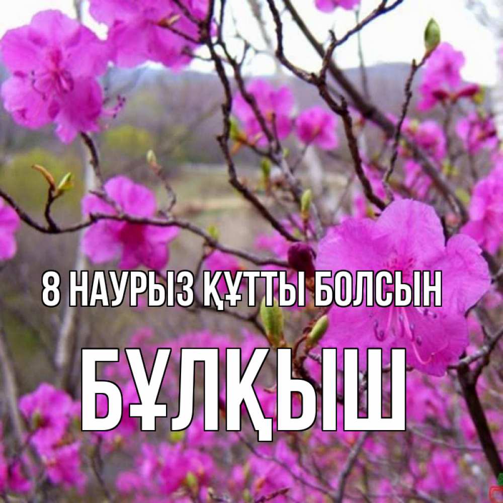 Күн сайын ашық хат с именем, Бұлқыш 8 наурыз құтты болсын международный женский день Онлайн тегін жүктеп алу тілектері бар керемет карта 
