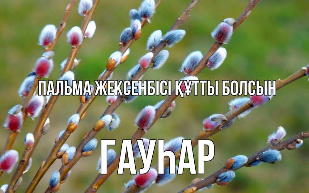 Күн сайын ашық хат с именем, Гауһар Пальма жексенбісі құтты болсын верба Онлайн тегін жүктеп алу тілектері бар керемет карта 