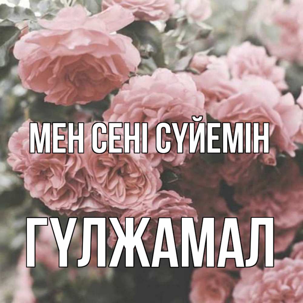 Күн сайын ашық хат с именем, ГҮЛЖАМАЛ Мен сені сүйемін розы 3 Онлайн тегін жүктеп алу тілектері бар керемет карта 