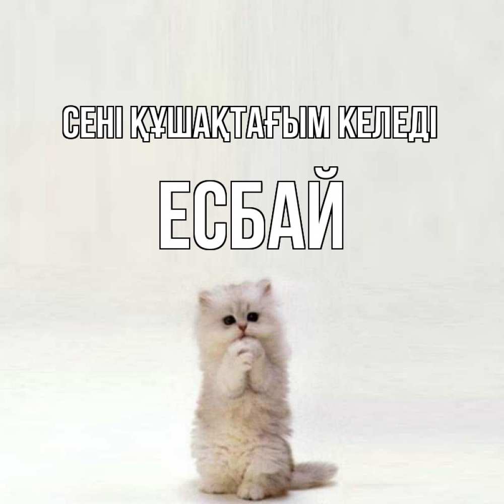 Күн сайын ашық хат с именем, Есбай сені құшақтағым келеді открытки с креативными подписями Онлайн тегін жүктеп алу тілектері бар керемет карта 