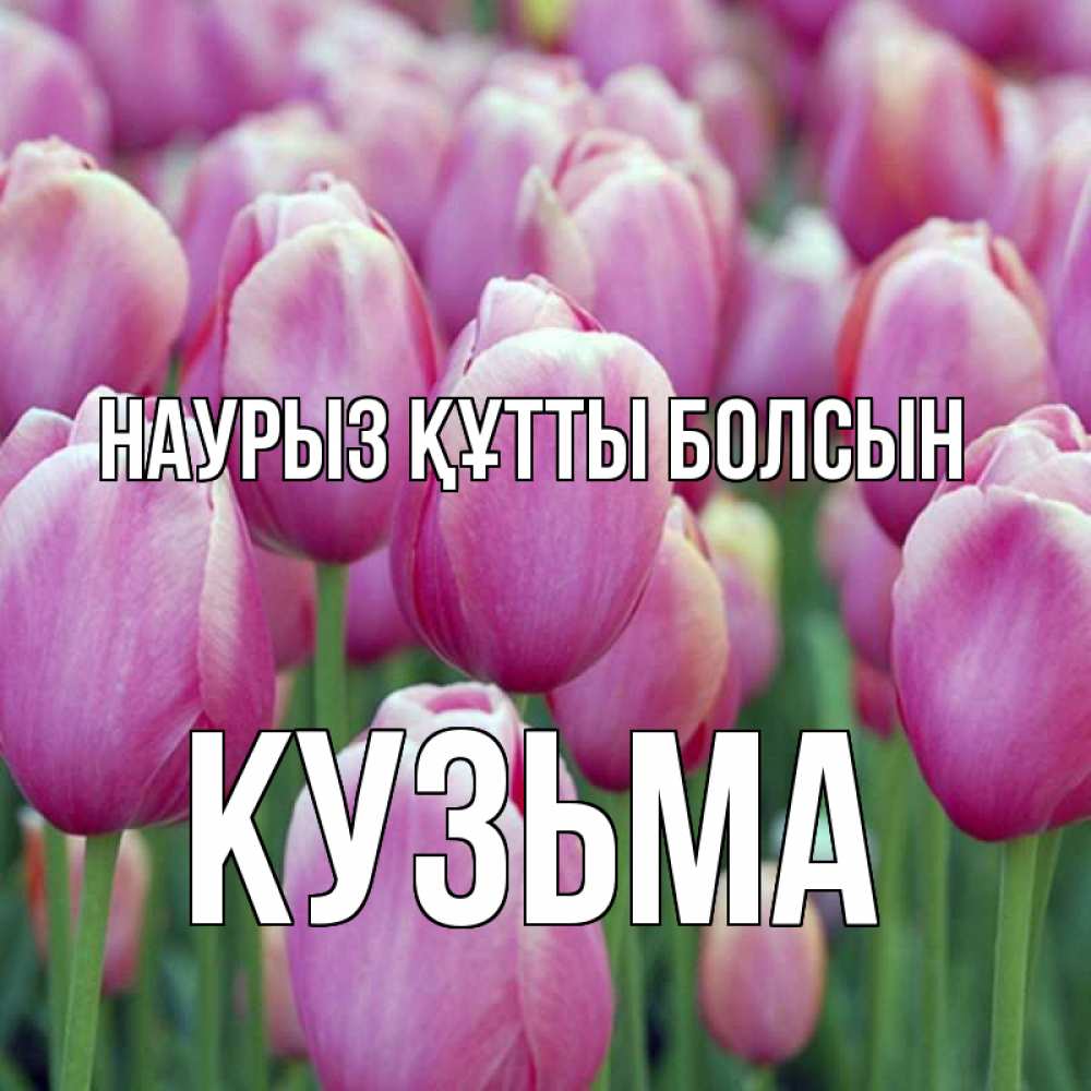 Күн сайын ашық хат с именем, Кузьма Наурыз құтты болсын на наурыз  день 3 Онлайн тегін жүктеп алу тілектері бар керемет карта 
