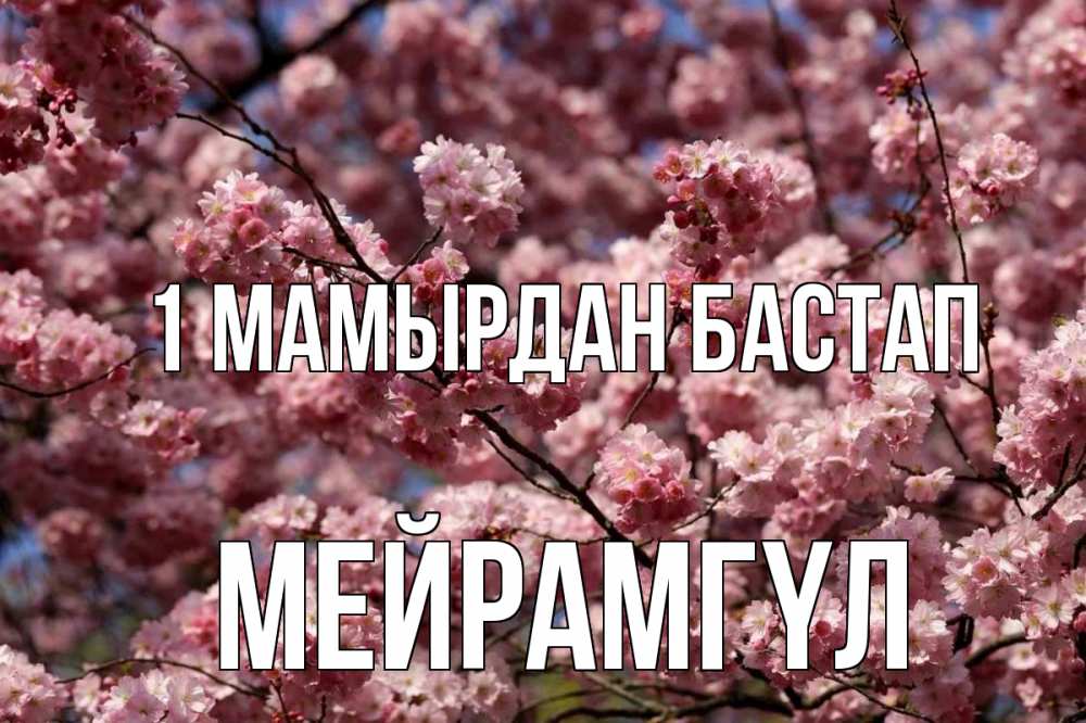 Күн сайын ашық хат с именем, МЕЙРАМГҮЛ 1 мамырдан бастап С 1 мая Онлайн тегін жүктеп алу тілектері бар керемет карта 