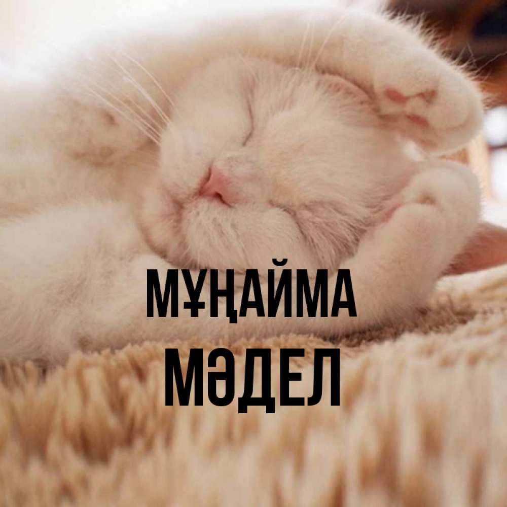 Күн сайын ашық хат с именем, МӘДЕЛ Мұңайма Котенок спит Онлайн тегін жүктеп алу тілектері бар керемет карта 