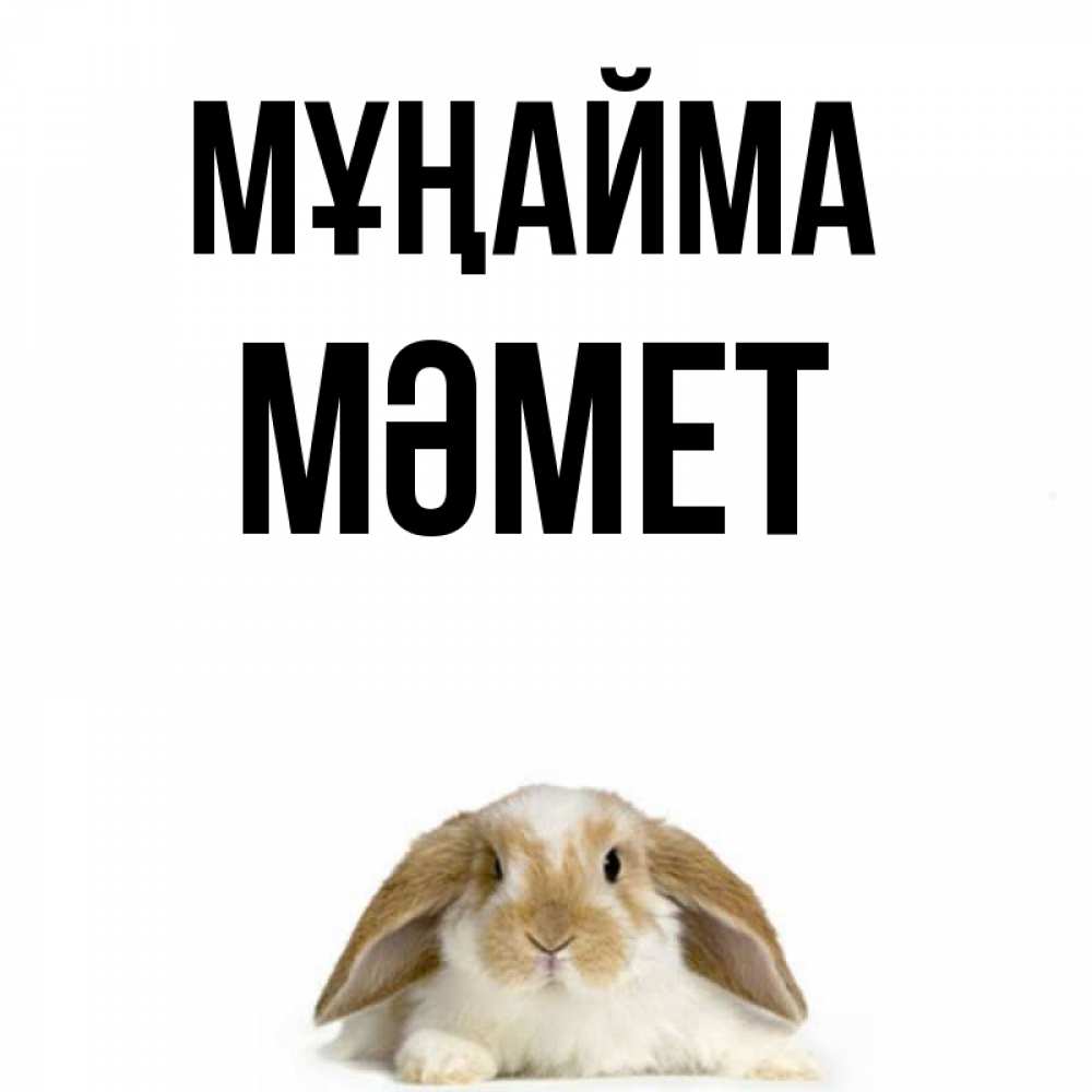 Күн сайын ашық хат с именем, Мәмет Мұңайма коричнево белый заяц с большими ушками Онлайн тегін жүктеп алу тілектері бар керемет карта 