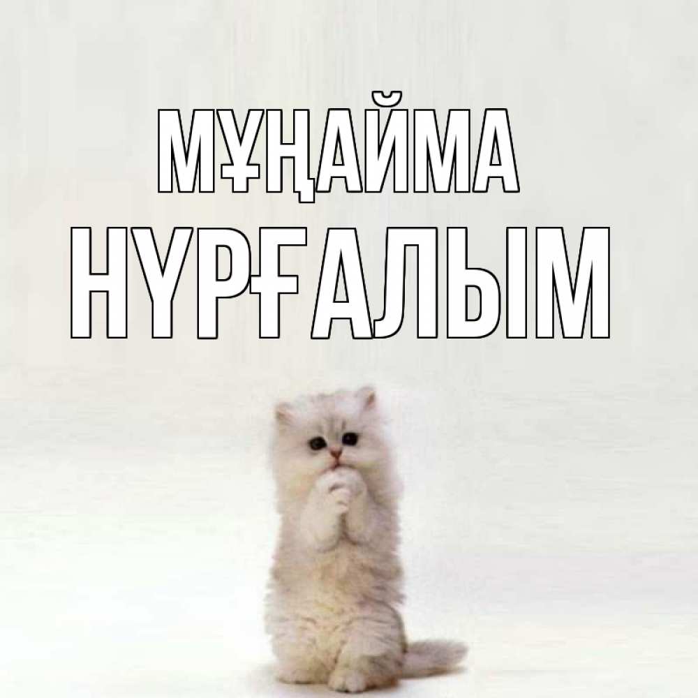 Күн сайын ашық хат с именем, НҮРҒАЛЫМ Мұңайма грустный кот Онлайн тегін жүктеп алу тілектері бар керемет карта 
