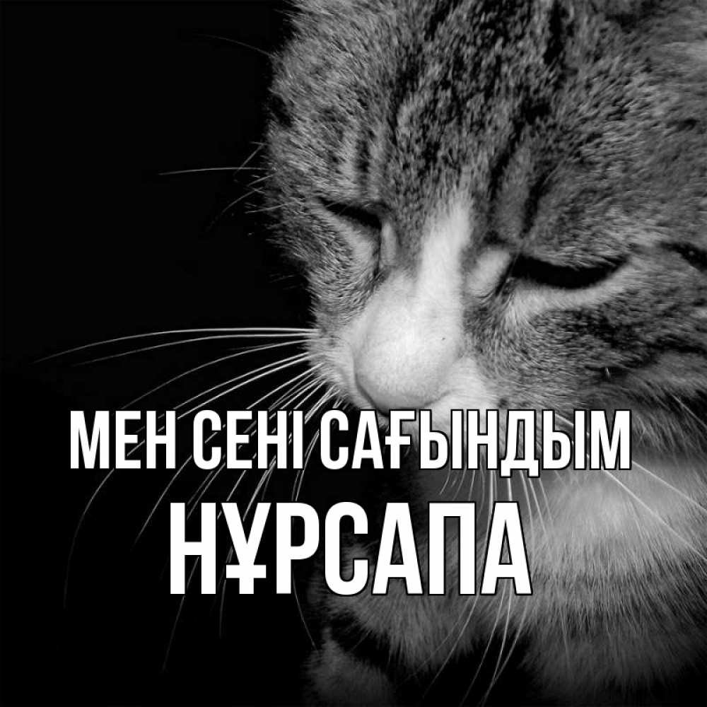 Күн сайын ашық хат с именем, НҰРСАПА Мен сені сағындым мне скучно Онлайн тегін жүктеп алу тілектері бар керемет карта 