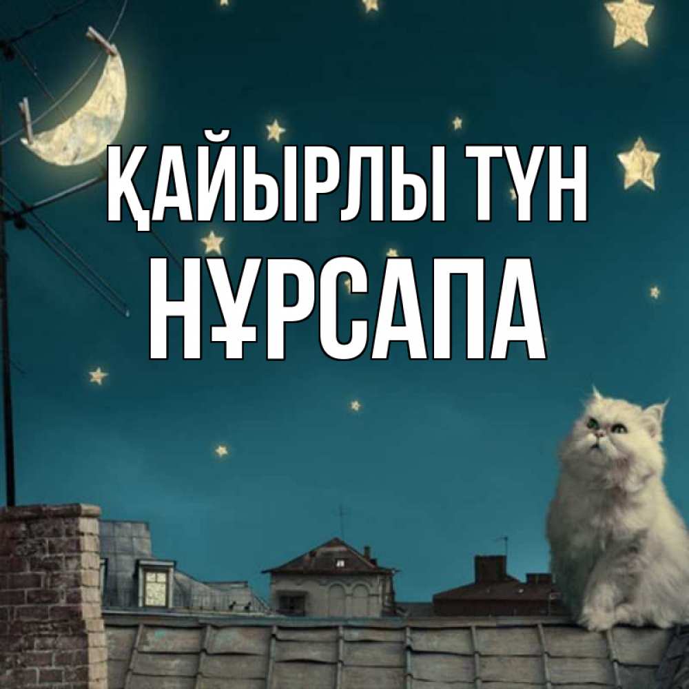 Күн сайын ашық хат с именем, НҰРСАПА Қайырлы түн белый кот сидит на крыше Онлайн тегін жүктеп алу тілектері бар керемет карта 