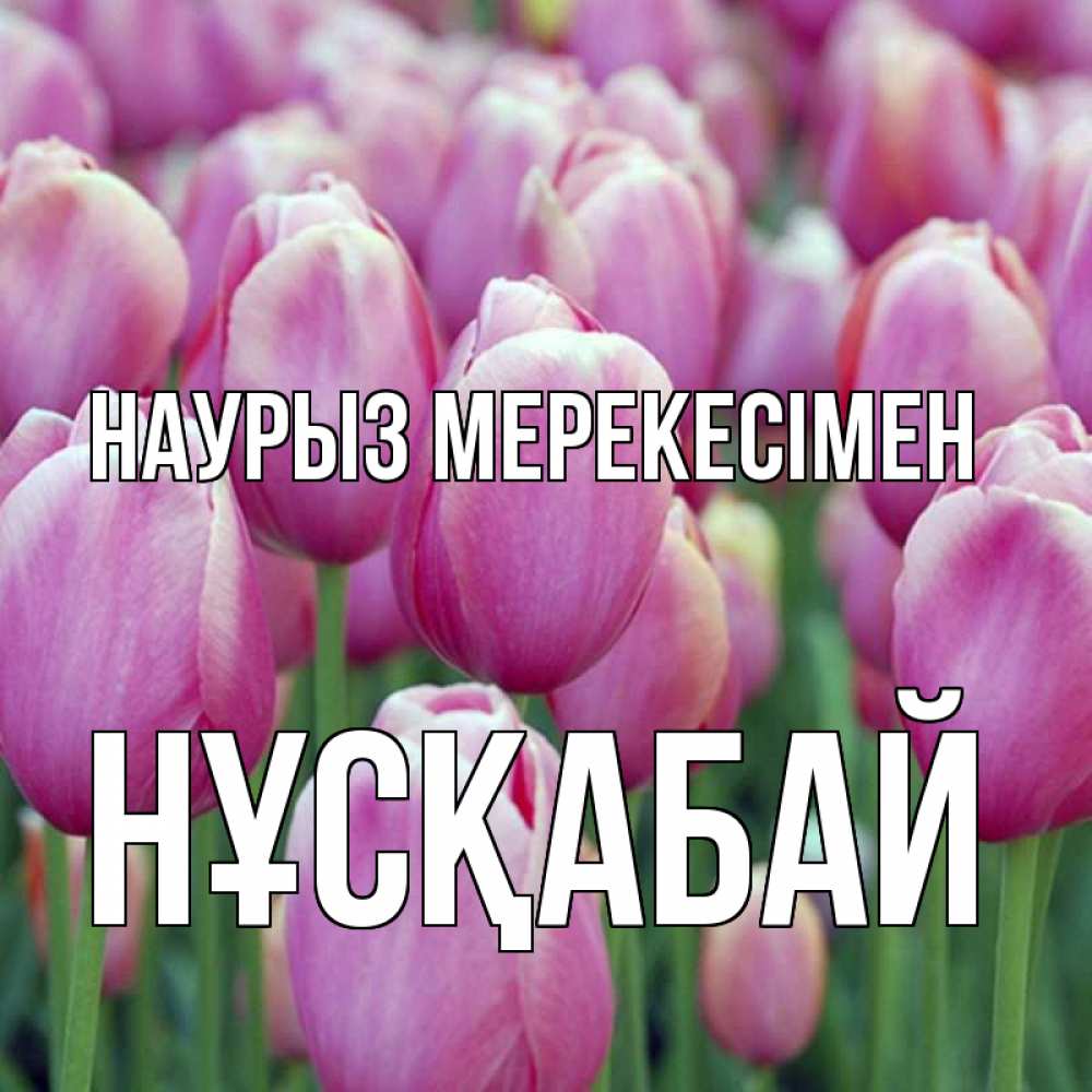 Күн сайын ашық хат с именем, НҰСҚАБАЙ Наурыз мерекесімен праздник весны наурыз 69 Онлайн тегін жүктеп алу тілектері бар керемет карта 