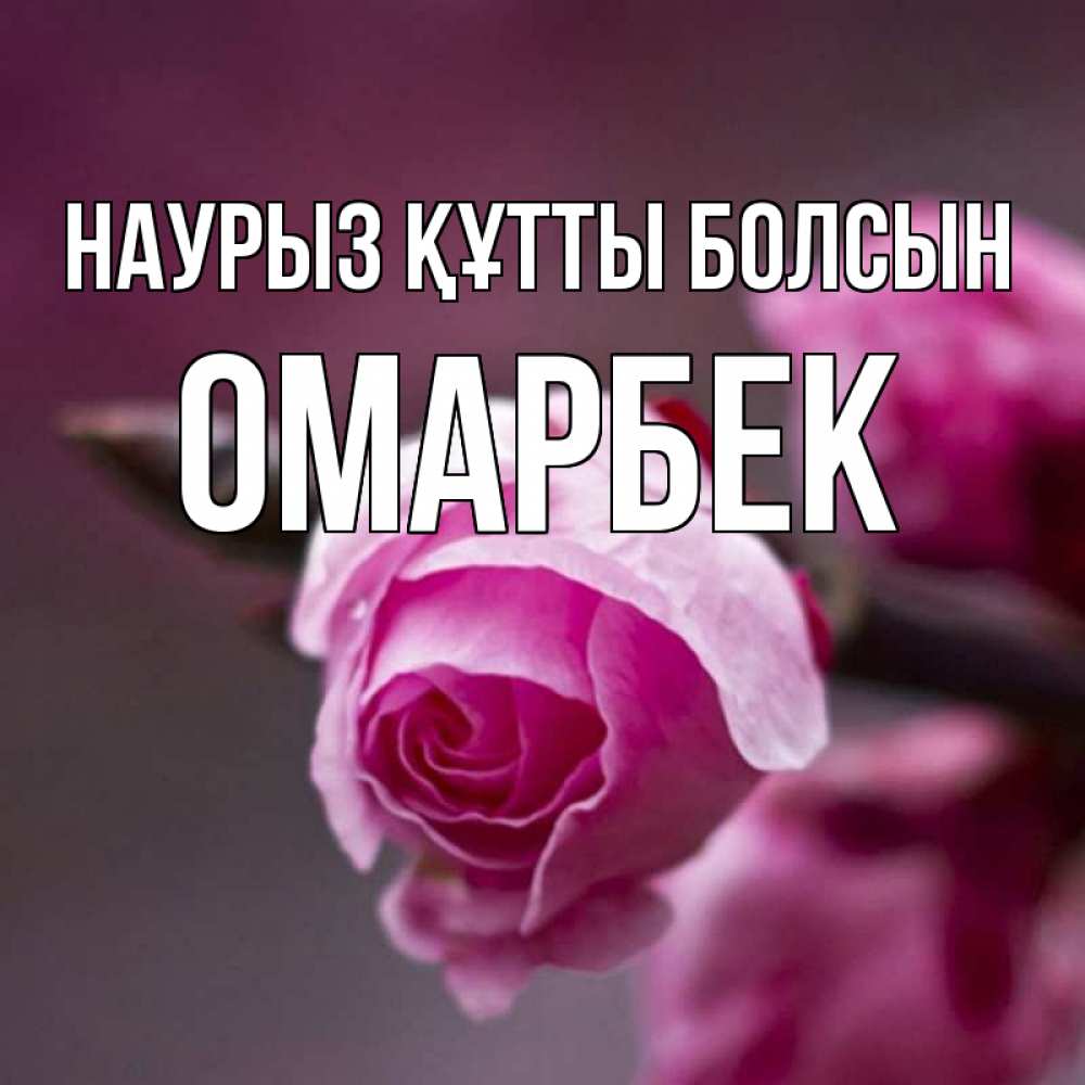 Күн сайын ашық хат с именем, ОМАРБЕК Наурыз құтты болсын весна Онлайн тегін жүктеп алу тілектері бар керемет карта 