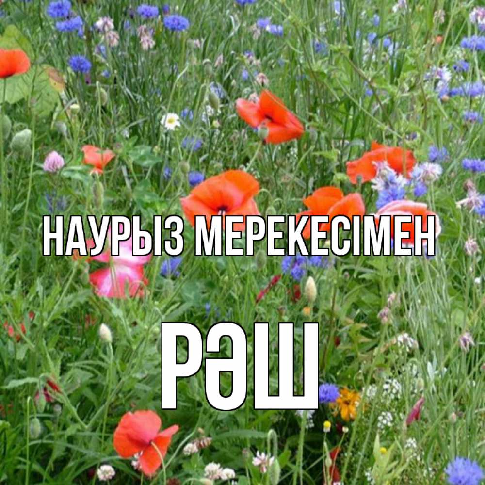 Күн сайын ашық хат с именем, РӘШ Наурыз мерекесімен праздник весны наурыз супер открытка Онлайн тегін жүктеп алу тілектері бар керемет карта 