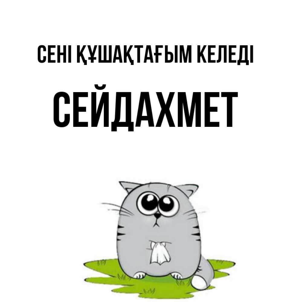 Күн сайын ашық хат с именем, СЕЙДАХМЕТ сені құшақтағым келеді котик теребит платочек сидя на травке Онлайн тегін жүктеп алу тілектері бар керемет карта 
