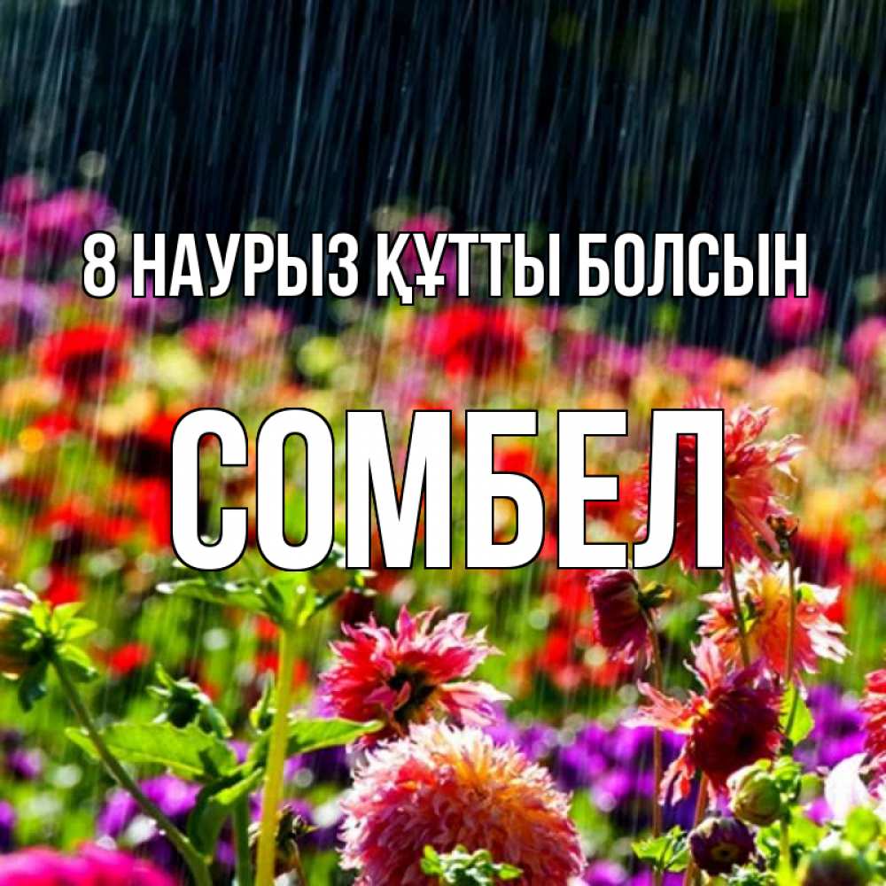 Күн сайын ашық хат с именем, СОМБЕЛ 8 наурыз құтты болсын цветы под дождиком к международному женскому дню Онлайн тегін жүктеп алу тілектері бар керемет карта 