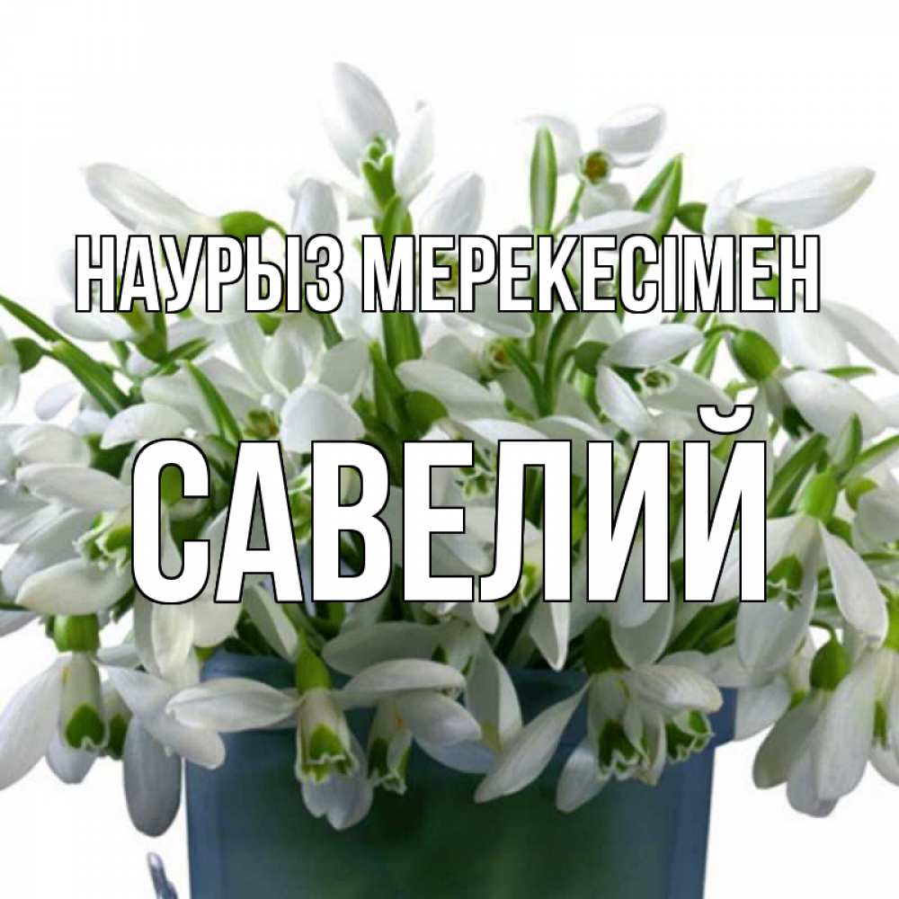 Күн сайын ашық хат с именем, Савелий Наурыз мерекесімен цветы к наурызу новый год в Казахстане Онлайн тегін жүктеп алу тілектері бар керемет карта 