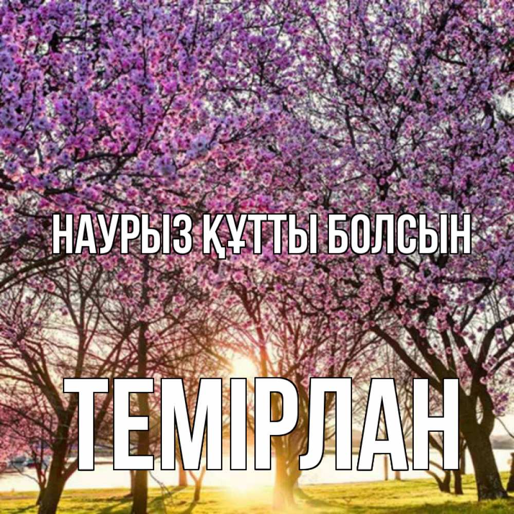 Күн сайын ашық хат с именем, ТЕМІРЛАН Наурыз құтты болсын наурыз Онлайн тегін жүктеп алу тілектері бар керемет карта 