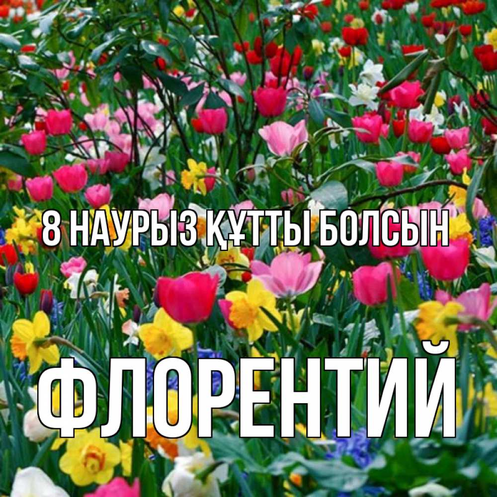 Күн сайын ашық хат с именем, Флорентий 8 наурыз құтты болсын с международным женским днем поздравления для женщины Онлайн тегін жүктеп алу тілектері бар керемет карта 