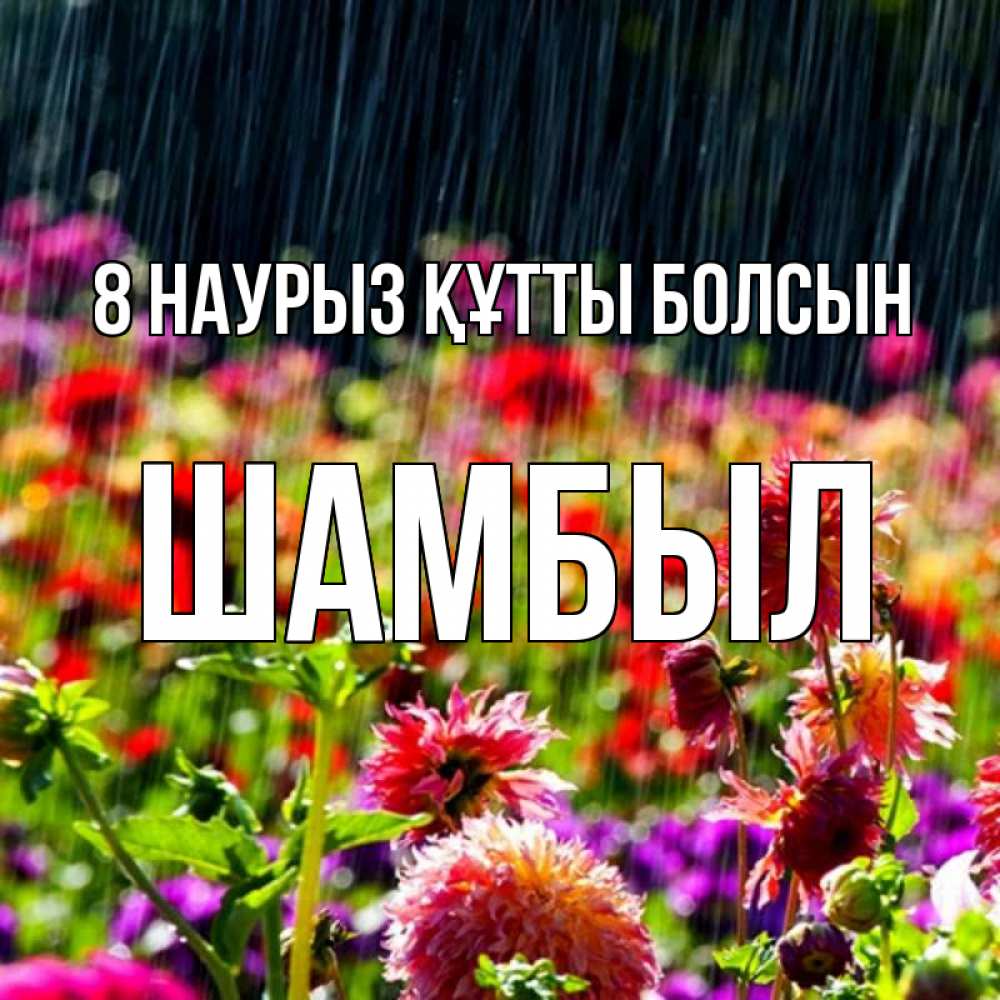 Күн сайын ашық хат с именем, ШАМБЫЛ 8 наурыз құтты болсын цветы под дождиком к международному женскому дню Онлайн тегін жүктеп алу тілектері бар керемет карта 