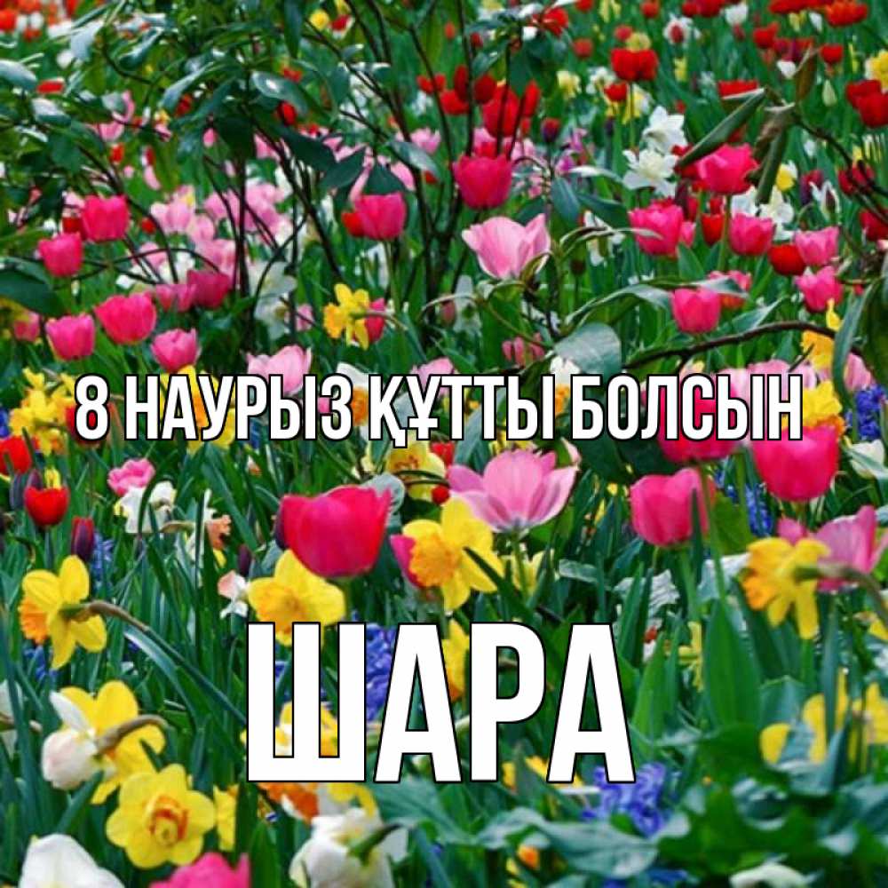 Күн сайын ашық хат с именем, ШАРА 8 наурыз құтты болсын с международным женским днем поздравления для женщины Онлайн тегін жүктеп алу тілектері бар керемет карта 