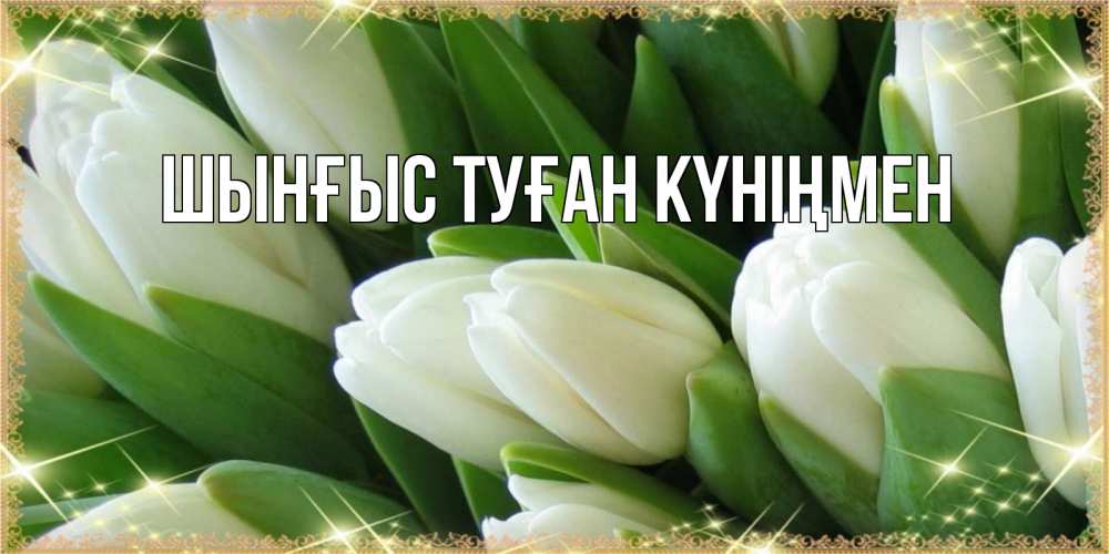 Картинка  с именем , ШЫНҒЫС! ТУҒАН КҮНІҢМЕН!