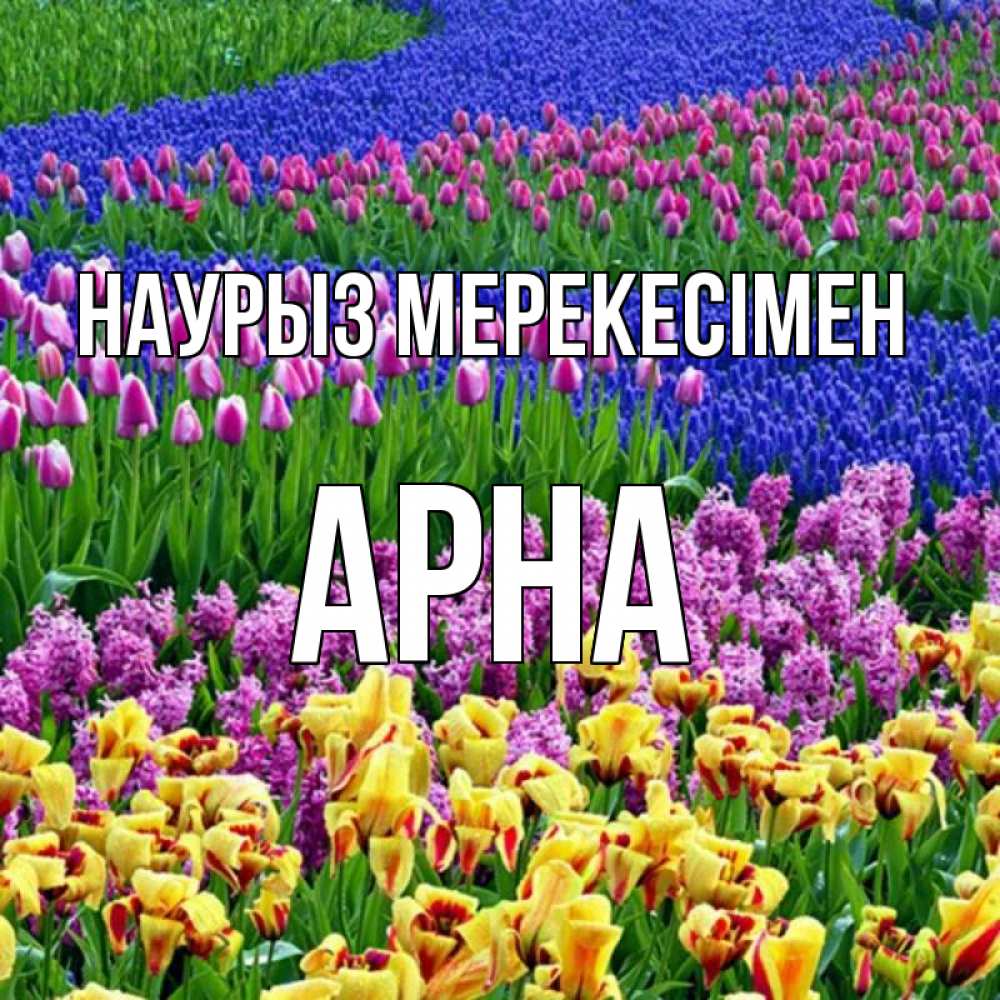 Күн сайын ашық хат с именем, Арна Наурыз мерекесімен цветы Онлайн тегін жүктеп алу тілектері бар керемет карта 