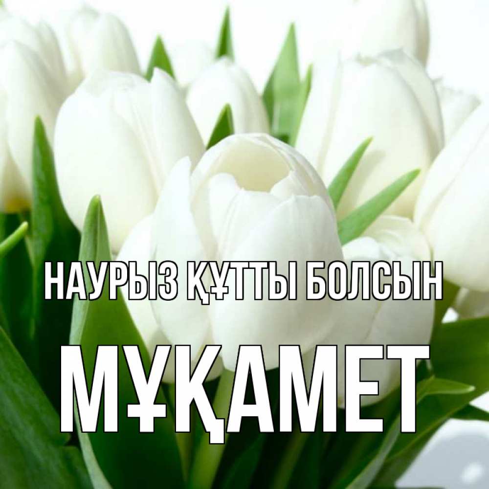 Күн сайын ашық хат с именем, МҰҚАМЕТ Наурыз құтты болсын цветы Онлайн тегін жүктеп алу тілектері бар керемет карта 