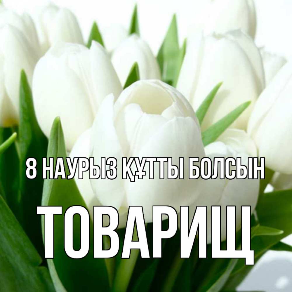 Күн сайын ашық хат с именем, Товарищ 8 наурыз құтты болсын цветы Онлайн тегін жүктеп алу тілектері бар керемет карта 