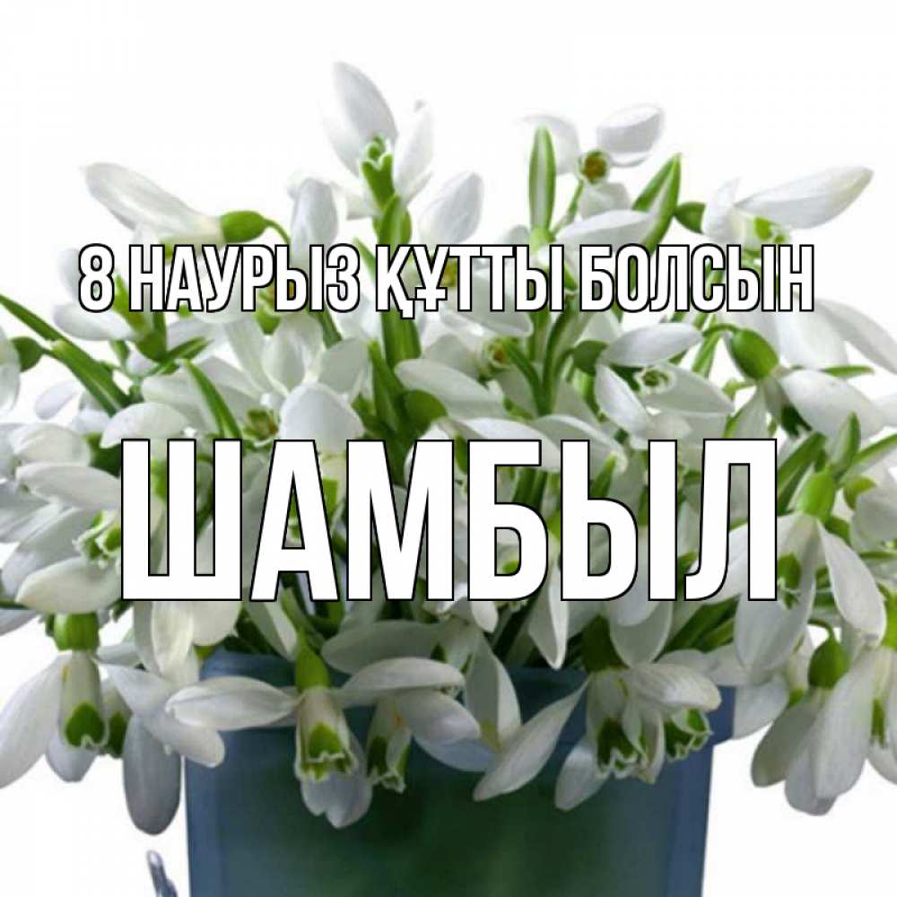 Күн сайын ашық хат с именем, ШАМБЫЛ 8 наурыз құтты болсын цветы к международному женскому дню Онлайн тегін жүктеп алу тілектері бар керемет карта 