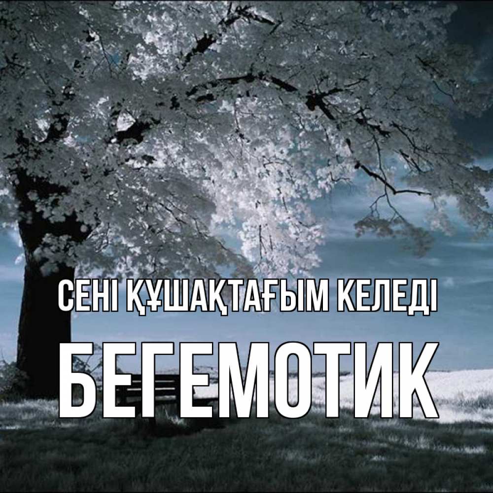 Күн сайын ашық хат с именем, Бегемотик сені құшақтағым келеді дерево Онлайн тегін жүктеп алу тілектері бар керемет карта 