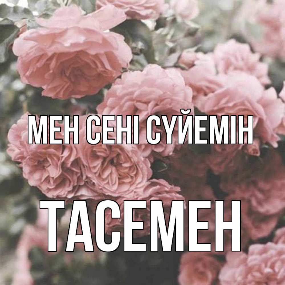 Күн сайын ашық хат с именем, ТАСЕМЕН Мен сені сүйемін розы 3 Онлайн тегін жүктеп алу тілектері бар керемет карта 