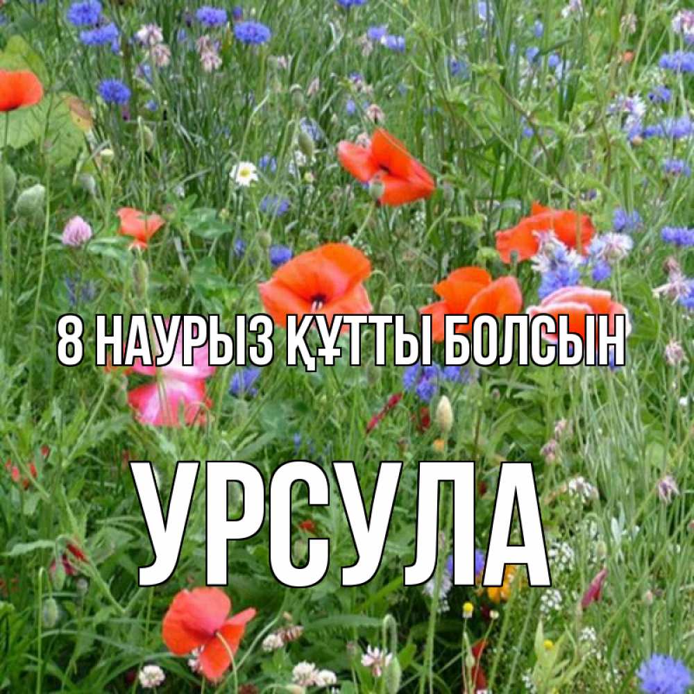 Күн сайын ашық хат с именем, Урсула 8 наурыз құтты болсын международный женский день 4 Онлайн тегін жүктеп алу тілектері бар керемет карта 