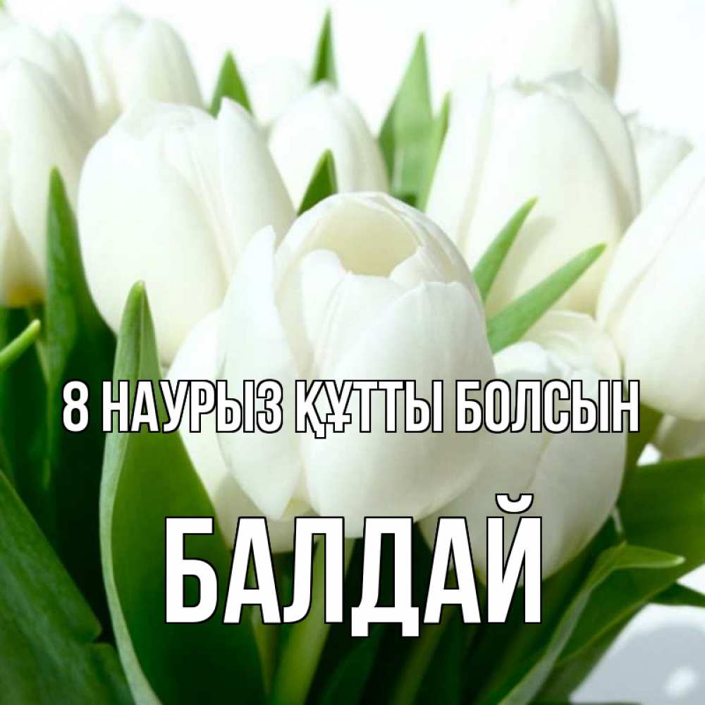 Күн сайын ашық хат с именем, БАЛДАЙ 8 наурыз құтты болсын цветы Онлайн тегін жүктеп алу тілектері бар керемет карта 