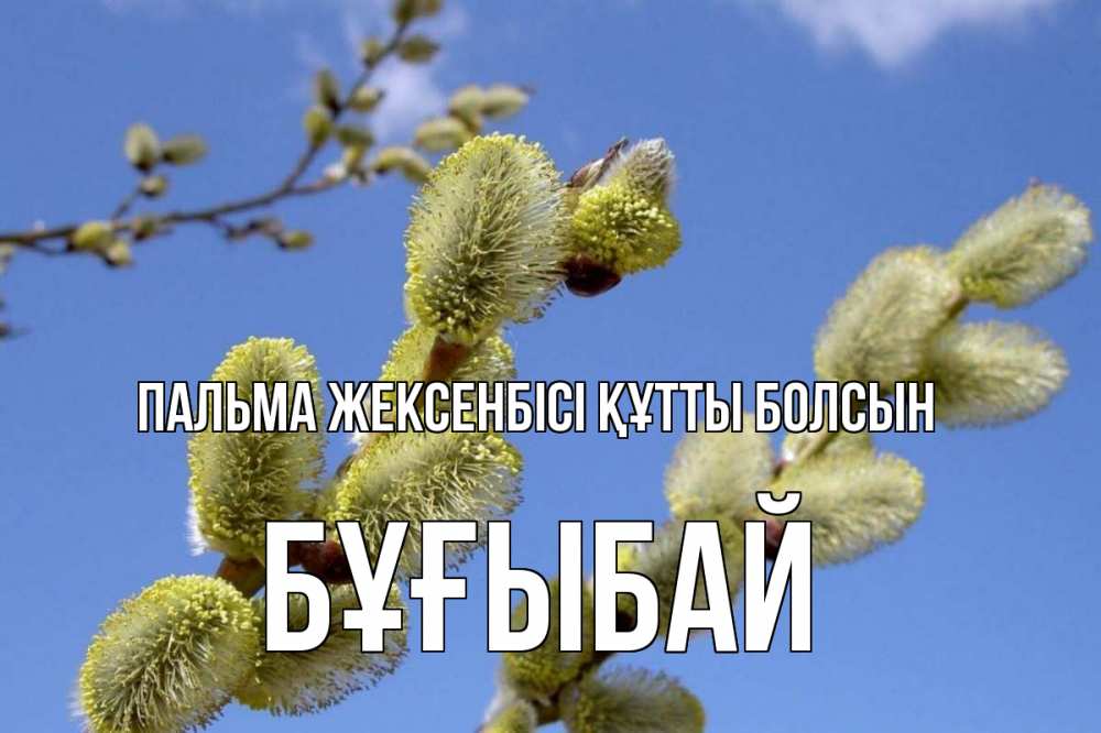 Күн сайын ашық хат с именем, Бұғыбай Пальма жексенбісі құтты болсын верба Онлайн тегін жүктеп алу тілектері бар керемет карта 