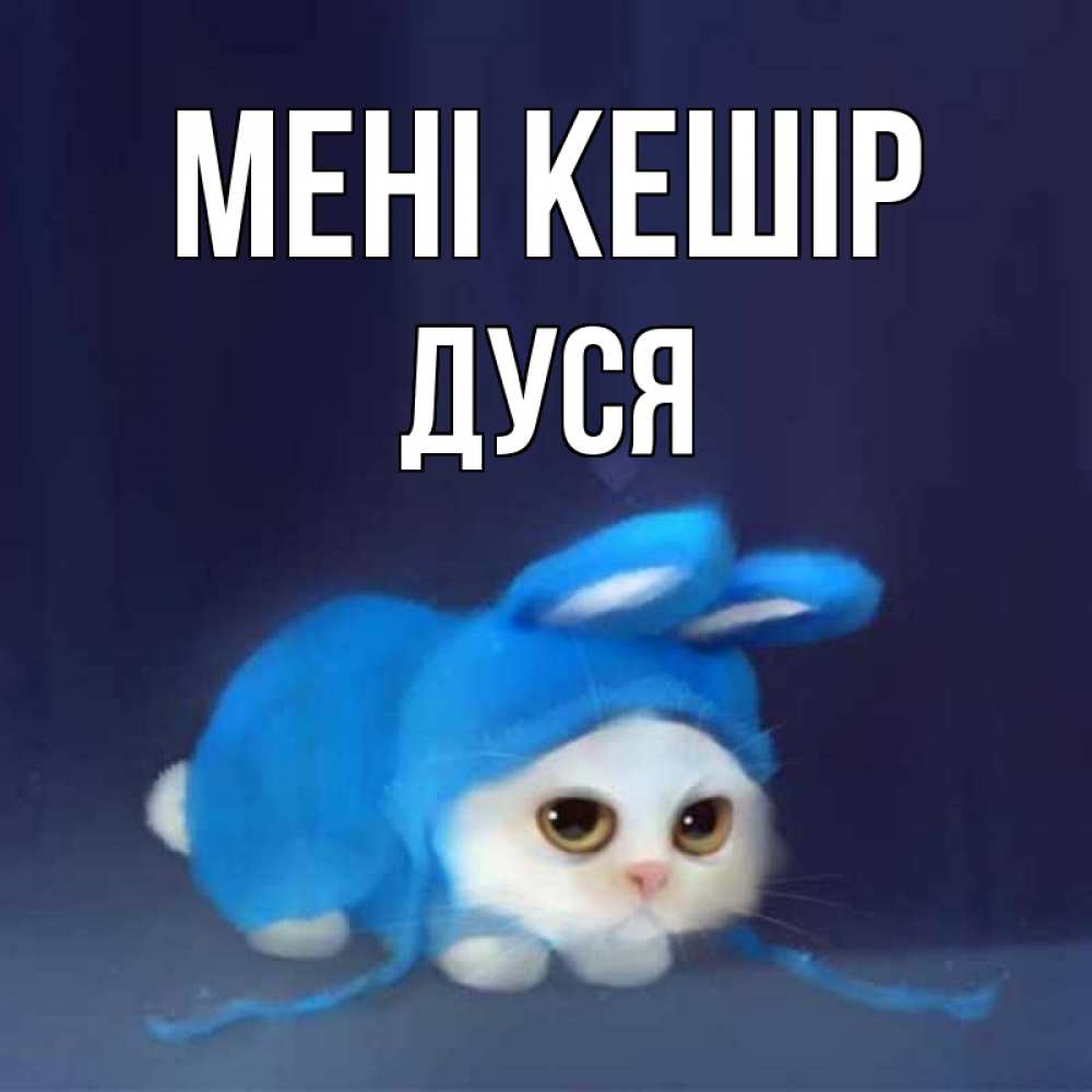 Күн сайын ашық хат с именем, Дуся Мені кешір невинный котозай просит прощения Онлайн тегін жүктеп алу тілектері бар керемет карта 