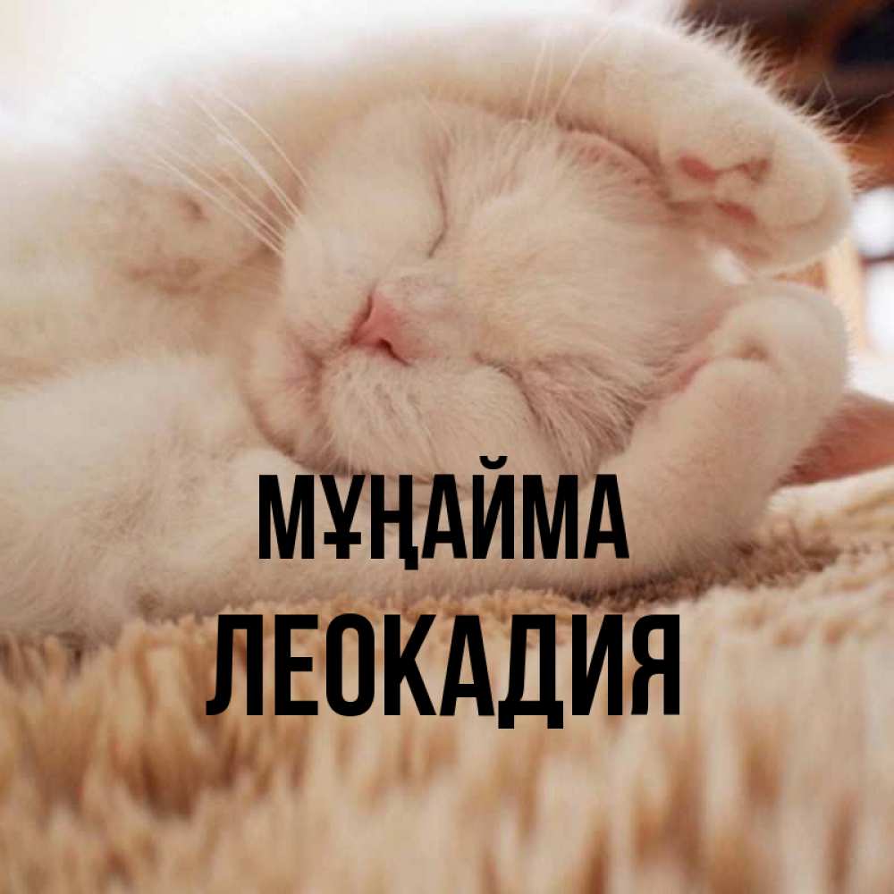 Күн сайын ашық хат с именем, Леокадия Мұңайма Котенок спит Онлайн тегін жүктеп алу тілектері бар керемет карта 