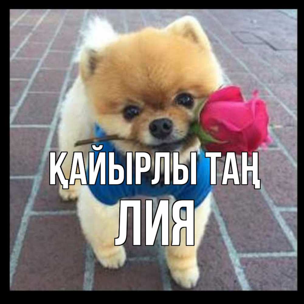 Күн сайын ашық хат с именем, Лия Қайырлы таң роза в зубах Онлайн тегін жүктеп алу тілектері бар керемет карта 