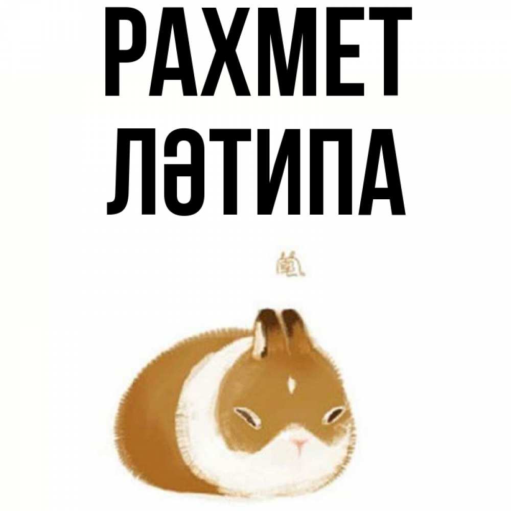 Күн сайын ашық хат с именем, ЛӘТИПА рахмет коричнево белый домашний питомец Онлайн тегін жүктеп алу тілектері бар керемет карта 