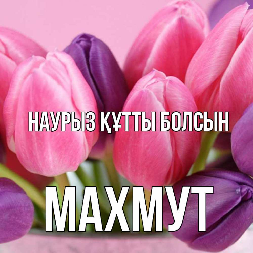 Күн сайын ашық хат с именем, МАХМУТ Наурыз құтты болсын маме 1 Онлайн тегін жүктеп алу тілектері бар керемет карта 